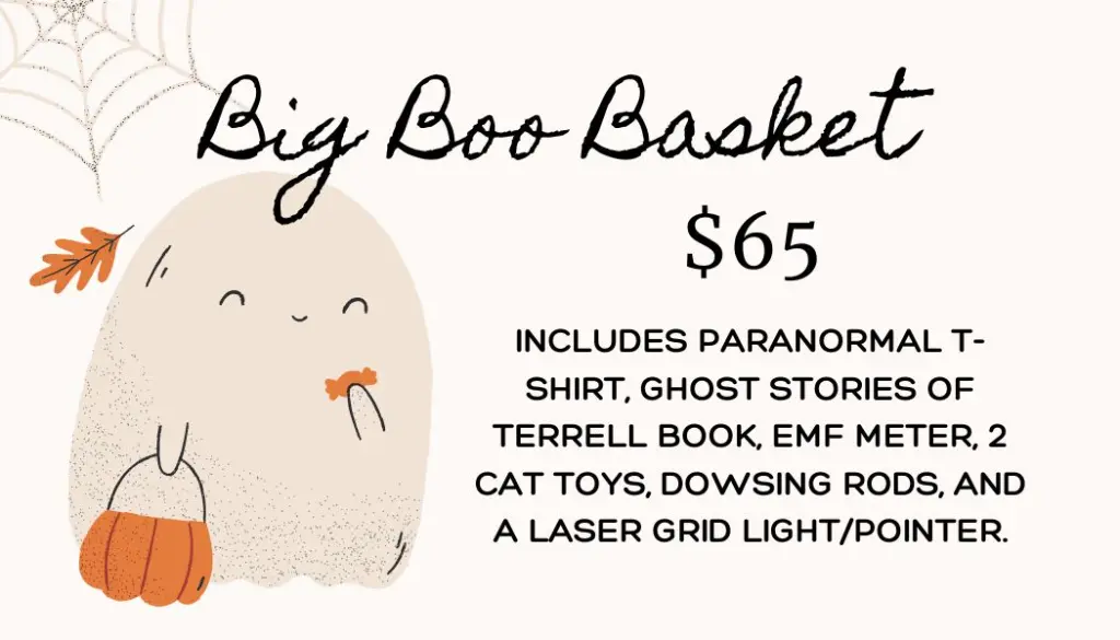 Beige Orange Black Illustrative Halloween Gift Tag (4).webp